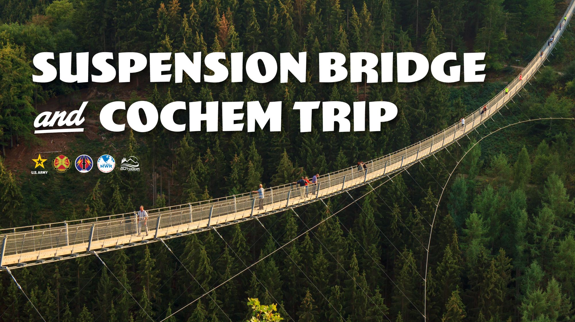 Suspension Bridge and Cochem